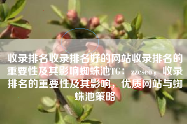 收录排名收录排名好的网站收录排名的重要性及其影响蜘蛛池TG：zzcseo，收录排名的重要性及其影响，优质网站与蜘蛛池策略