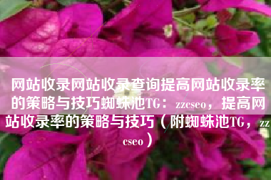 网站收录网站收录查询提高网站收录率的策略与技巧蜘蛛池TG：zzcseo，提高网站收录率的策略与技巧（附蜘蛛池TG，zzcseo）