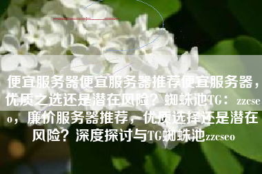 便宜服务器便宜服务器推荐便宜服务器，优质之选还是潜在风险？蜘蛛池TG：zzcseo，廉价服务器推荐，优质选择还是潜在风险？深度探讨与TG蜘蛛池zzcseo