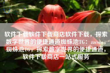 软件下载软件下载商店软件下载，探索数字世界的便捷通道蜘蛛池TG：zzcseo，蜘蛛池TG，探索数字世界的便捷通道，软件下载商店一站式服务