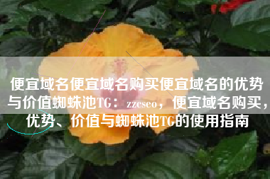 便宜域名便宜域名购买便宜域名的优势与价值蜘蛛池TG：zzcseo，便宜域名购买，优势、价值与蜘蛛池TG的使用指南