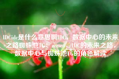 IDCidc是什么意思啊IDC，数据中心的未来之路蜘蛛池TG：zzcseo，IDC的未来之路，数据中心与蜘蛛池TG的角色解读