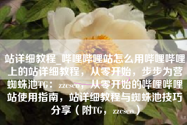 站详细教程_哔哩哔哩站怎么用哔哩哔哩上的站详细教程，从零开始，步步为营蜘蛛池TG：zzcseo，从零开始的哔哩哔哩站使用指南，站详细教程与蜘蛛池技巧分享（附TG，zzcseo）