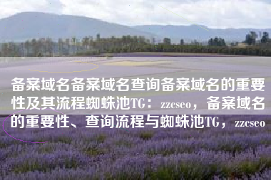 备案域名备案域名查询备案域名的重要性及其流程蜘蛛池TG：zzcseo，备案域名的重要性、查询流程与蜘蛛池TG，zzcseo