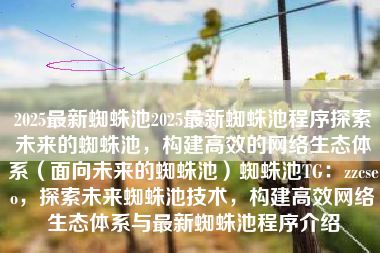 2025最新蜘蛛池2025最新蜘蛛池程序探索未来的蜘蛛池，构建高效的网络生态体系（面向未来的蜘蛛池）蜘蛛池TG：zzcseo，探索未来蜘蛛池技术，构建高效网络生态体系与最新蜘蛛池程序介绍