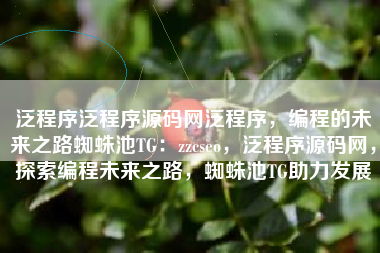 泛程序泛程序源码网泛程序，编程的未来之路蜘蛛池TG：zzcseo，泛程序源码网，探索编程未来之路，蜘蛛池TG助力发展