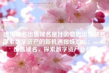 出售域名出售域名是什么意思出售域名，探索数字资产的新机遇蜘蛛池TG：zzcseo，出售域名，探索数字资产新机遇