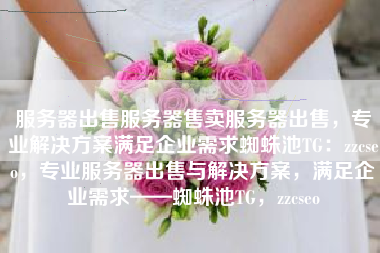 服务器出售服务器售卖服务器出售，专业解决方案满足企业需求蜘蛛池TG：zzcseo，专业服务器出售与解决方案，满足企业需求——蜘蛛池TG，zzcseo