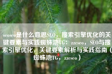 seoseo是什么意思SEO，搜索引擎优化的关键要素与实践蜘蛛池TG：zzcseo，SEO与搜索引擎优化，关键要素解析与实践指南（蜘蛛池TG，zzcseo）