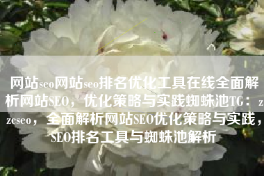 网站seo网站seo排名优化工具在线全面解析网站SEO，优化策略与实践蜘蛛池TG：zzcseo，全面解析网站SEO优化策略与实践，SEO排名工具与蜘蛛池解析