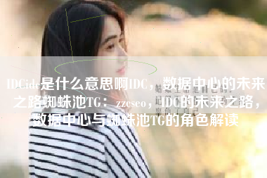 IDCidc是什么意思啊IDC，数据中心的未来之路蜘蛛池TG：zzcseo，IDC的未来之路，数据中心与蜘蛛池TG的角色解读