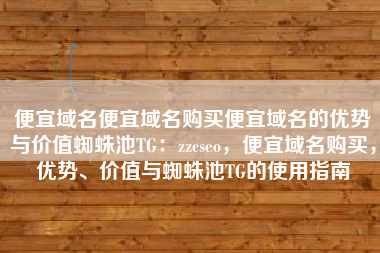 便宜域名便宜域名购买便宜域名的优势与价值蜘蛛池TG：zzcseo，便宜域名购买，优势、价值与蜘蛛池TG的使用指南