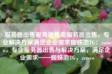 服务器出售服务器售卖服务器出售，专业解决方案满足企业需求蜘蛛池TG：zzcseo，专业服务器出售与解决方案，满足企业需求——蜘蛛池TG，zzcseo