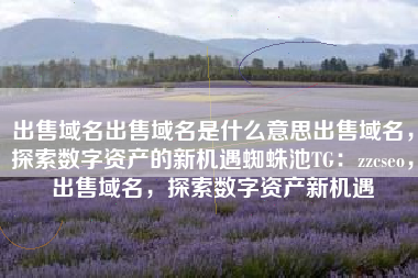 出售域名出售域名是什么意思出售域名，探索数字资产的新机遇蜘蛛池TG：zzcseo，出售域名，探索数字资产新机遇
