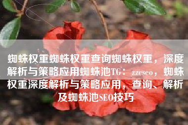 蜘蛛权重蜘蛛权重查询蜘蛛权重，深度解析与策略应用蜘蛛池TG：zzcseo，蜘蛛权重深度解析与策略应用，查询、解析及蜘蛛池SEO技巧