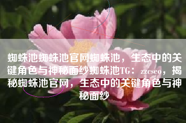 蜘蛛池蜘蛛池官网蜘蛛池，生态中的关键角色与神秘面纱蜘蛛池TG：zzcseo，揭秘蜘蛛池官网，生态中的关键角色与神秘面纱