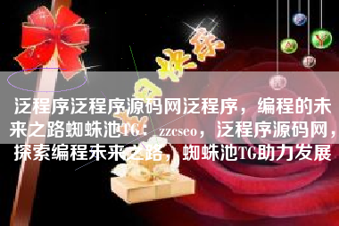 泛程序泛程序源码网泛程序，编程的未来之路蜘蛛池TG：zzcseo，泛程序源码网，探索编程未来之路，蜘蛛池TG助力发展