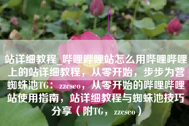 站详细教程_哔哩哔哩站怎么用哔哩哔哩上的站详细教程，从零开始，步步为营蜘蛛池TG：zzcseo，从零开始的哔哩哔哩站使用指南，站详细教程与蜘蛛池技巧分享（附TG，zzcseo）