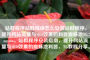 站群程序站群程序怎么安装站群程序，提升网站流量与SEO效果的利器蜘蛛池TG：zzcseo，站群程序安装指南，提升网站流量与SEO效果的蜘蛛池利器，TG教程分享。