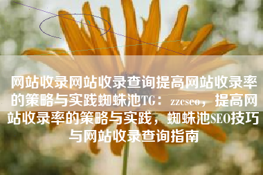 网站收录网站收录查询提高网站收录率的策略与实践蜘蛛池TG：zzcseo，提高网站收录率的策略与实践，蜘蛛池SEO技巧与网站收录查询指南