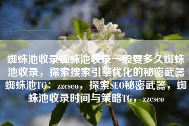 蜘蛛池收录蜘蛛池收录一般要多久蜘蛛池收录，探索搜索引擎优化的秘密武器蜘蛛池TG：zzcseo，探索SEO秘密武器，蜘蛛池收录时间与策略TG，zzcseo