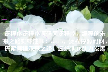 泛程序泛程序源码网泛程序，编程的未来之路蜘蛛池TG：zzcseo，泛程序源码网，探索编程未来之路，蜘蛛池TG助力发展