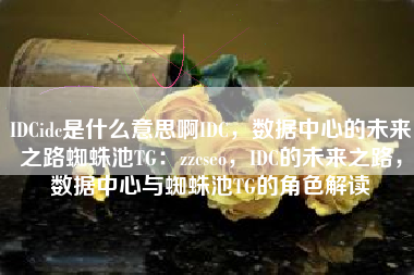 IDCidc是什么意思啊IDC，数据中心的未来之路蜘蛛池TG：zzcseo，IDC的未来之路，数据中心与蜘蛛池TG的角色解读