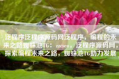 泛程序泛程序源码网泛程序，编程的未来之路蜘蛛池TG：zzcseo，泛程序源码网，探索编程未来之路，蜘蛛池TG助力发展