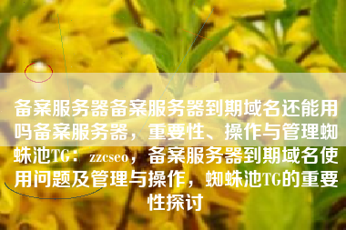 备案服务器备案服务器到期域名还能用吗备案服务器，重要性、操作与管理蜘蛛池TG：zzcseo，备案服务器到期域名使用问题及管理与操作，蜘蛛池TG的重要性探讨