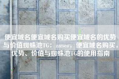 便宜域名便宜域名购买便宜域名的优势与价值蜘蛛池TG：zzcseo，便宜域名购买，优势、价值与蜘蛛池TG的使用指南