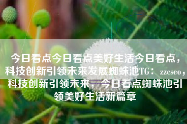 今日看点今日看点美好生活今日看点，科技创新引领未来发展蜘蛛池TG：zzcseo，科技创新引领未来，今日看点蜘蛛池引领美好生活新篇章