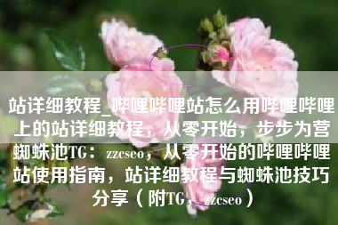 站详细教程_哔哩哔哩站怎么用哔哩哔哩上的站详细教程，从零开始，步步为营蜘蛛池TG：zzcseo，从零开始的哔哩哔哩站使用指南，站详细教程与蜘蛛池技巧分享（附TG，zzcseo）