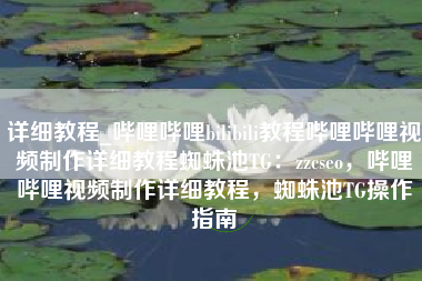 详细教程_哔哩哔哩bilibili教程哔哩哔哩视频制作详细教程蜘蛛池TG：zzcseo，哔哩哔哩视频制作详细教程，蜘蛛池TG操作指南
