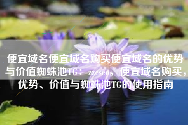 便宜域名便宜域名购买便宜域名的优势与价值蜘蛛池TG：zzcseo，便宜域名购买，优势、价值与蜘蛛池TG的使用指南