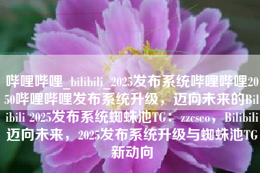 哔哩哔哩_bilibili_2025发布系统哔哩哔哩2050哔哩哔哩发布系统升级，迈向未来的Bilibili 2025发布系统蜘蛛池TG：zzcseo，Bilibili迈向未来，2025发布系统升级与蜘蛛池TG新动向