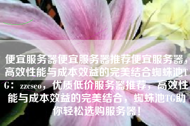 便宜服务器便宜服务器推荐便宜服务器，高效性能与成本效益的完美结合蜘蛛池TG：zzcseo，优质低价服务器推荐，高效性能与成本效益的完美结合，蜘蛛池TG助你轻松选购服务器！