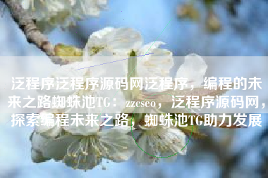 泛程序泛程序源码网泛程序，编程的未来之路蜘蛛池TG：zzcseo，泛程序源码网，探索编程未来之路，蜘蛛池TG助力发展