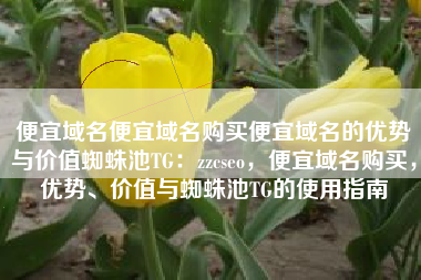 便宜域名便宜域名购买便宜域名的优势与价值蜘蛛池TG：zzcseo，便宜域名购买，优势、价值与蜘蛛池TG的使用指南