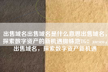 出售域名出售域名是什么意思出售域名，探索数字资产的新机遇蜘蛛池TG：zzcseo，出售域名，探索数字资产新机遇