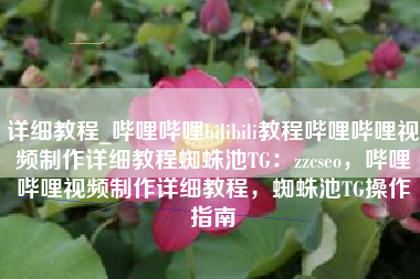 详细教程_哔哩哔哩bilibili教程哔哩哔哩视频制作详细教程蜘蛛池TG：zzcseo，哔哩哔哩视频制作详细教程，蜘蛛池TG操作指南