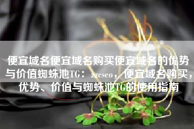 便宜域名便宜域名购买便宜域名的优势与价值蜘蛛池TG：zzcseo，便宜域名购买，优势、价值与蜘蛛池TG的使用指南