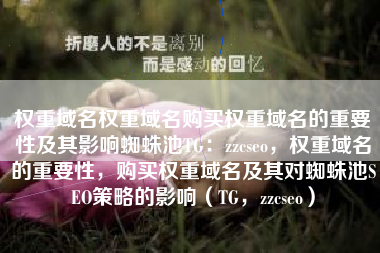 权重域名权重域名购买权重域名的重要性及其影响蜘蛛池TG：zzcseo，权重域名的重要性，购买权重域名及其对蜘蛛池SEO策略的影响（TG，zzcseo）
