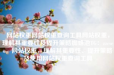 网站权重网站权重查询工具网站权重，理解其重要性及提升策略蜘蛛池TG：zzcseo，网站权重，理解其重要性、提升策略及使用网站权重查询工具