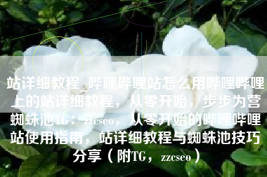 站详细教程_哔哩哔哩站怎么用哔哩哔哩上的站详细教程，从零开始，步步为营蜘蛛池TG：zzcseo，从零开始的哔哩哔哩站使用指南，站详细教程与蜘蛛池技巧分享（附TG，zzcseo）