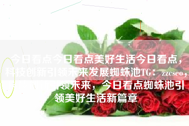 今日看点今日看点美好生活今日看点，科技创新引领未来发展蜘蛛池TG：zzcseo，科技创新引领未来，今日看点蜘蛛池引领美好生活新篇章