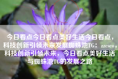 今日看点今日看点美好生活今日看点，科技创新引领未来发展蜘蛛池TG：zzcseo，科技创新引领未来，今日看点美好生活与蜘蛛池TG的发展之路