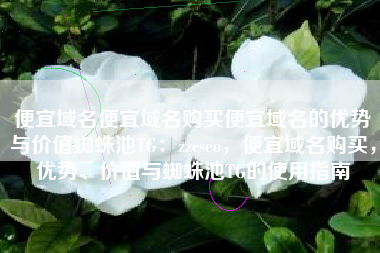 便宜域名便宜域名购买便宜域名的优势与价值蜘蛛池TG：zzcseo，便宜域名购买，优势、价值与蜘蛛池TG的使用指南