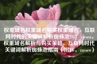 权重域名权重域名购买权重域名，互联网时代的关键词解析蜘蛛池TG：zzcseo，权重域名解析与购买策略，互联网时代关键词解析蜘蛛池指南（附TG，zzcseo）