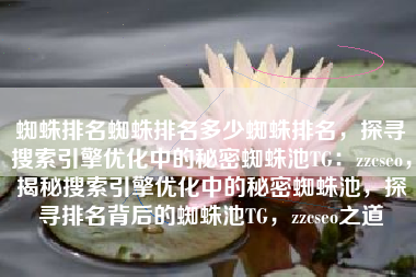 蜘蛛排名蜘蛛排名多少蜘蛛排名，探寻搜索引擎优化中的秘密蜘蛛池TG：zzcseo，揭秘搜索引擎优化中的秘密蜘蛛池，探寻排名背后的蜘蛛池TG，zzcseo之道