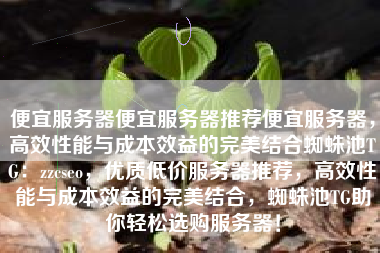 便宜服务器便宜服务器推荐便宜服务器，高效性能与成本效益的完美结合蜘蛛池TG：zzcseo，优质低价服务器推荐，高效性能与成本效益的完美结合，蜘蛛池TG助你轻松选购服务器！